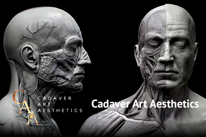 Cadaver Art Aesthetics | Rejuvenation Clinic