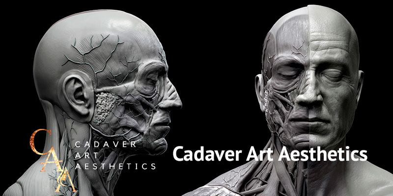 Cadaver Art Aesthetics | Rejuvenation Clinic