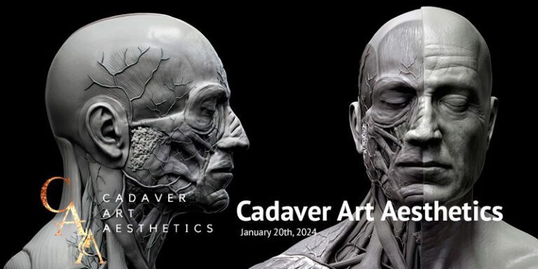 Cadaver Art Aesthetics | Rejuvenation Clinic